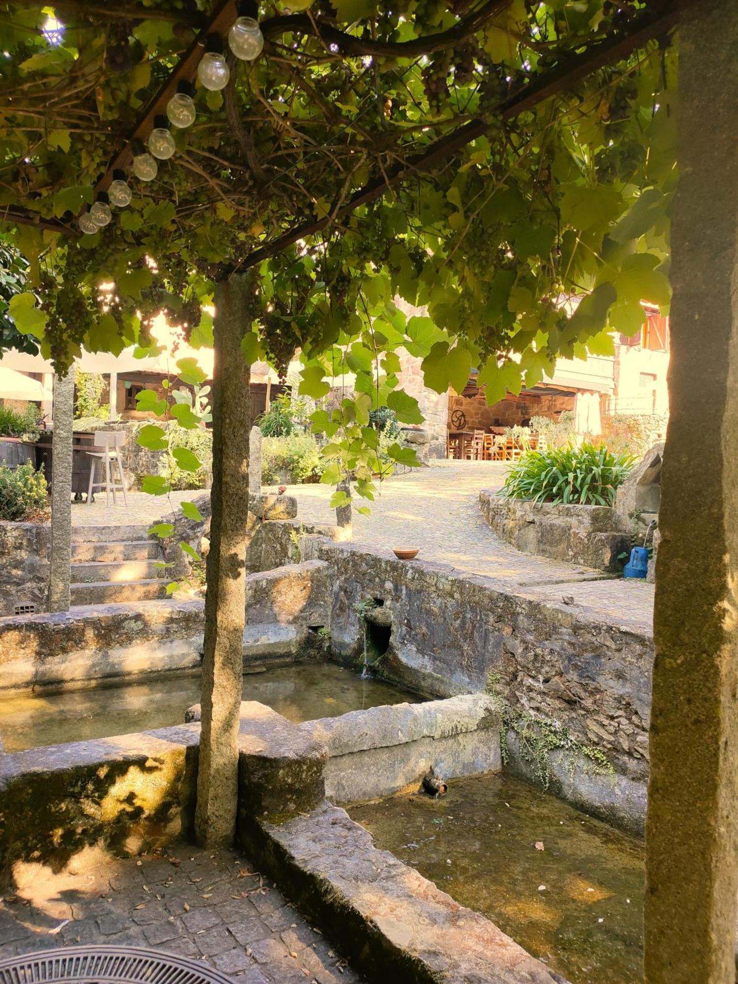 Quinta Padre Lobo Santa Maria da Feira Exterior foto